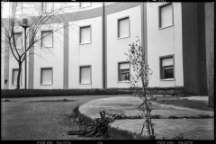 Nelle oasi del vuoto Colonia Roma,  Bellaria Nelle oasi del vuoto Colonia Roma,  Bellaria