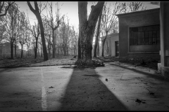 Nelle oasi del vuoto Colonia Roma,  Bellaria Nelle oasi del vuoto Colonia Roma,  Bellaria